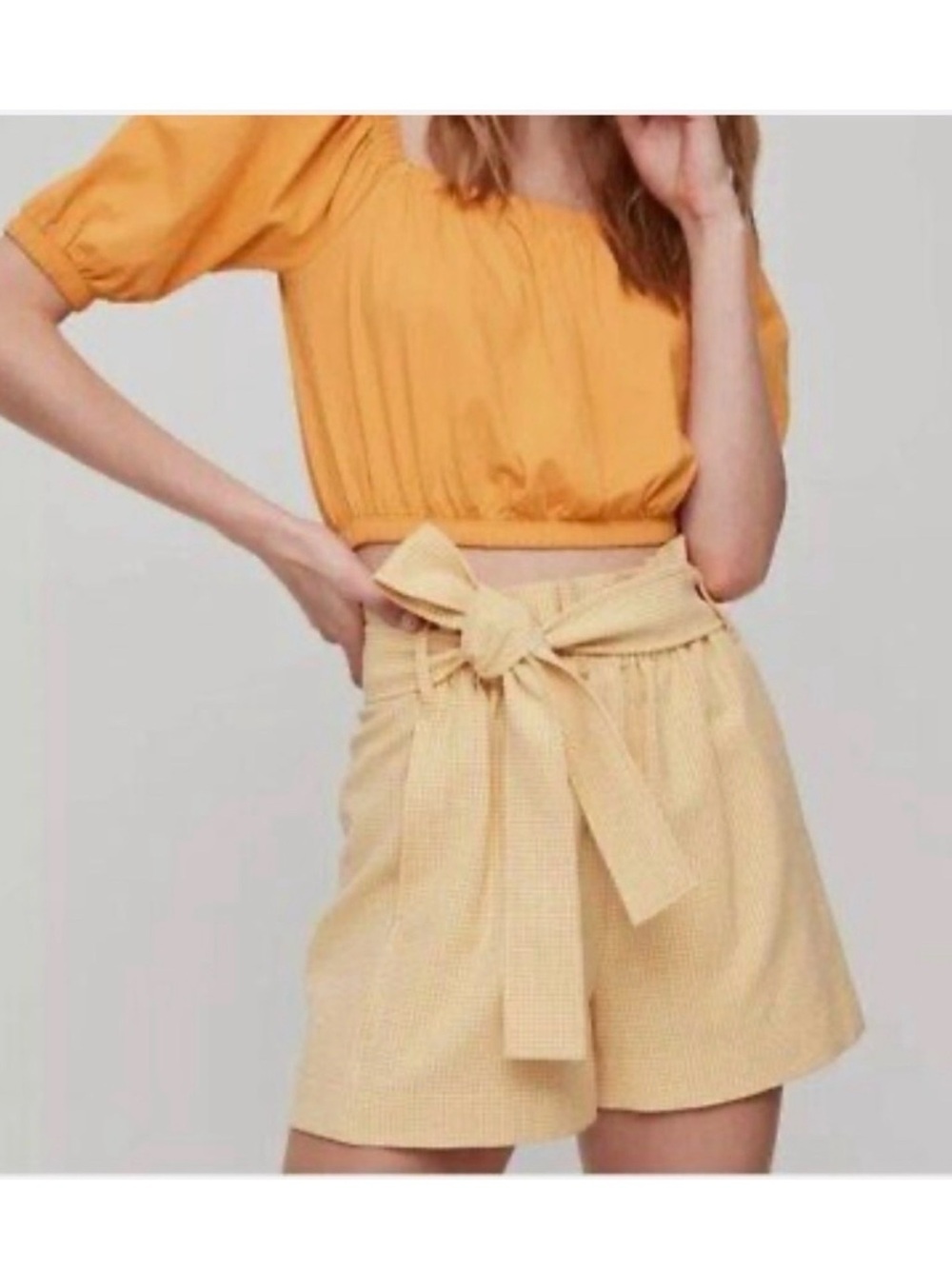Aritzia Wilfred Gélas Gingham Paperbag Shorts | Size 6